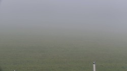 Reihwiesen – Langlaufloipen