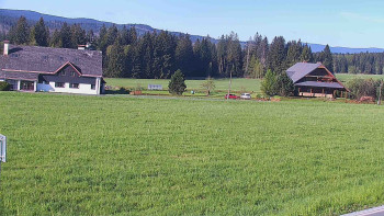 Snímek    9.5.2025 v 08:00