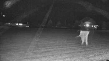 Snímek    27.10.2025 v 19:01