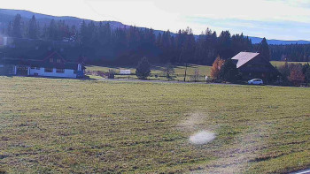 Snímek 5.11.2025 v 13:01