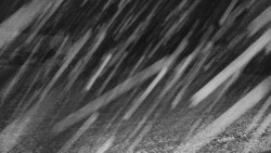 Rejvíz - Běžecké stopy