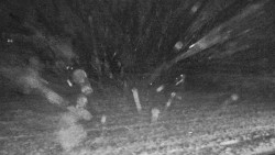 Rejvíz - Běžecké stopy