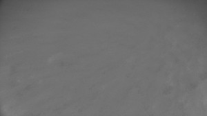 Rejvíz - Běžecké stopy - Rejvíz - Běžecké stopy - 6.12.2025 v 03:01