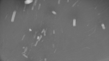 Rejvíz - Běžecké stopy