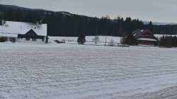 Rejvíz - Běžecké stopy