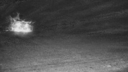 Rejvíz - Běžecké stopy