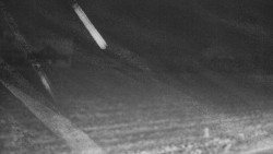 Rejvíz - Běžecké stopy