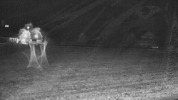 Rejvíz - Běžecké stopy