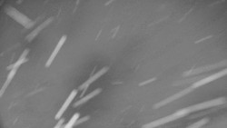 Rejvíz - Běžecké stopy