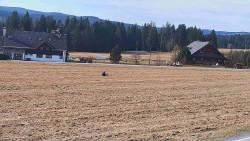 Rejvíz - Běžecké stopy