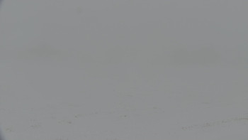 Rejvíz - Běžecké stopy