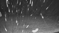 Běžecké stopy, NPR Rejvíz