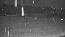 Běžecké stopy, NPR Rejvíz