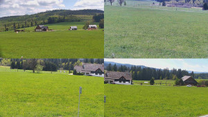 Rejvíz - Běžecké stopy - Rejvíz - Běžecké stopy - 11.5.2025 v 13:01