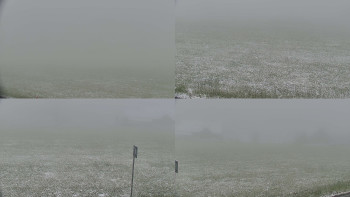 Snímek    15.5.2025 v 09:01