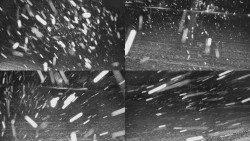 Rejvíz - Běžecké stopy