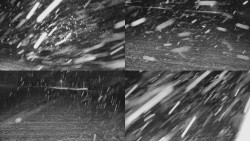 Rejvíz - Běžecké stopy