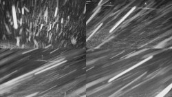 Rejvíz - Běžecké stopy