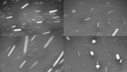 Rejvíz - Běžecké stopy