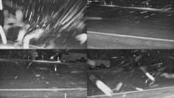 Rejvíz - Běžecké stopy