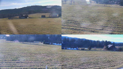 Rejvíz - Běžecké stopy