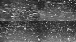 Rejvíz - Běžecké stopy