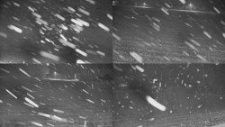 Rejvíz - Běžecké stopy