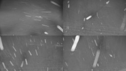 Rejvíz - Běžecké stopy