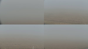 Rejvíz - Běžecké stopy - Rejvíz - Běžecké stopy - 14.2.2026 v 14:01