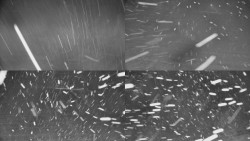 Rejvíz - Běžecké stopy