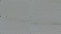 Rejvíz - Běžecké stopy