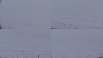 Rejvíz - Běžecké stopy