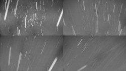 Rejvíz - Běžecké stopy