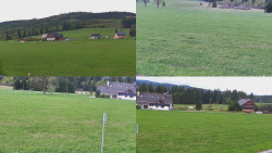 Sdružený snímek