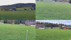Sdružený snímek