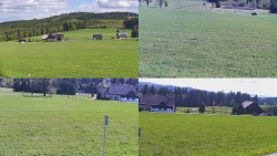 Sdružený snímek