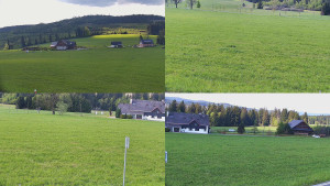 Rejvíz - Běžecké stopy - Sdružený snímek - 20.5.2026 v 09:01