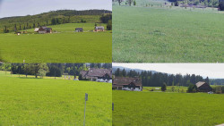 Sdružený snímek