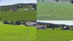 Sdružený snímek