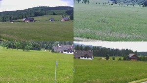 Rejvíz - Běžecké stopy - Sdružený snímek - 9.6.2026 v 14:01