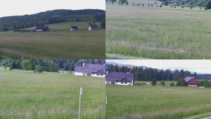 Rejvíz - Běžecké stopy - Sdružený snímek - 16.6.2026 v 07:01 Rejvíz - Běžecké stopy - Sdružený snímek - 16.6.2026 v 07:01