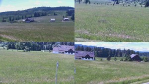Rejvíz - Běžecké stopy - Sdružený snímek - 16.6.2026 v 11:01