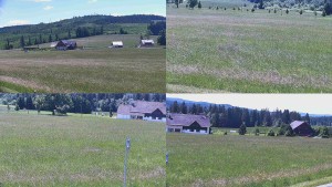 Rejvíz - Běžecké stopy - Sdružený snímek - 16.6.2026 v 12:01