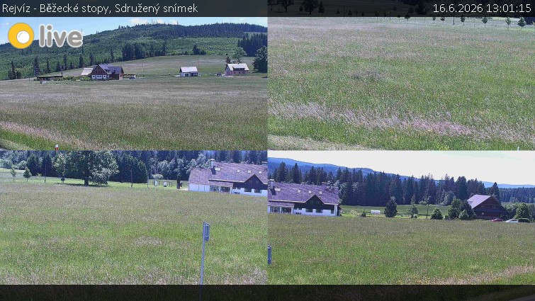 Rejvíz - Běžecké stopy - Sdružený snímek - 16.6.2026 v 13:01