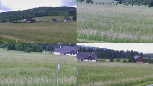 Rejvíz – Langlaufloipen - Kompositbild - 17.6.2026 v 08:01 Rejvíz – Langlaufloipen - Kompositbild - 17.6.2026 v 08:01