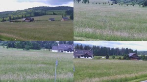 Rejvíz – Langlaufloipen - Kompositbild - 17.6.2026 v 09:01 Rejvíz – Langlaufloipen - Kompositbild - 17.6.2026 v 09:01