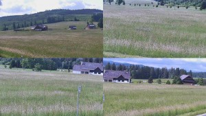 Rejvíz – Langlaufloipen - Kompositbild - 17.6.2026 v 10:01 Rejvíz – Langlaufloipen - Kompositbild - 17.6.2026 v 10:01
