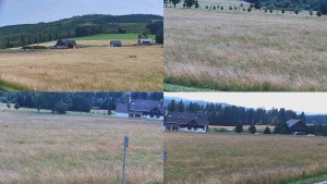 Rejvíz – Langlaufloipen - Kompositbild - 1.8.2026 v 14:01 Rejvíz – Langlaufloipen - Kompositbild - 1.8.2026 v 14:01