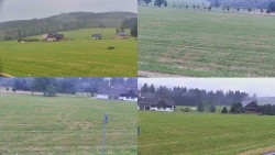 Sdružený snímek