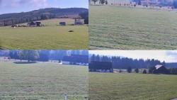 Sdružený snímek